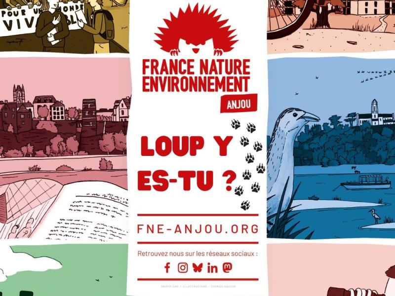 PROLONGATION DU CONCOURS DE DESSIN "LOUP Y ES-TU ?" 🐺